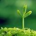 Jacob Hoang - Facebook