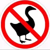 Jacob_Hollen - @jacob_hollen - TikTok