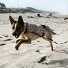jacobhollenberry - @j8k33_ - TikTok