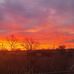 Jacob Holley - Facebook
