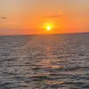 jacob_holstein - @jacob_holstein - TikTok