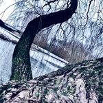 Jacob Holstein - @jacobnielsenholstein - Instagram