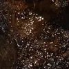jacobscholtz_ - @povs_jacob - TikTok