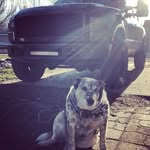 Jacob Holzer - @jacobholzer - Instagram