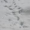 jacob honorat - @jacob.honorat - TikTok