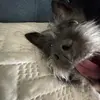 jacob - @jacob.horstmann - TikTok
