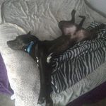 Jacob Houck - @lonewolf_7401 - Instagram