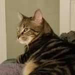 Jacob Humbert - @jacobhumbert6232 - Instagram