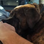Jacob Huntley - @jacobhuntley77 - Instagram
