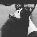 Jacob Huntsman - @huntsmanjacob - Instagram