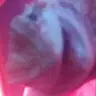 jacob hutton - @jacobhutton34 - TikTok