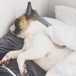 jacob hyder - @jacobhyderr - Instagram