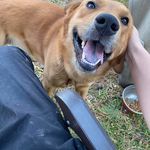 Jacob Inman - @jacob.inman.754 - Instagram