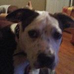 Jacob Inman - @inman8040 - Instagram