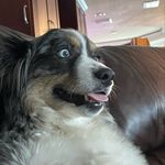 Jacob Ironside - @ironsidejacob - Instagram