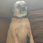 Jacob Isham - @kaboom2468 - Instagram