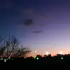 Jacobisontikok - @jacobisontiktok08 - TikTok