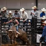 Jacob jaynes - @bullrider64290 - Instagram