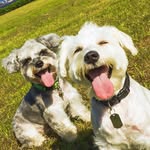 jacob & jesse - @jacobjesseboys - Instagram