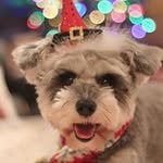 Jacob Jesse - @jacobjesse4127 - Instagram