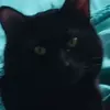 Jacob Jessee - @jacob.jessee - TikTok