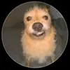 Ropopo - @jacob.jesse.artea - TikTok
