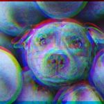 Jacob Kagan - @memes_from_kagannation - Instagram