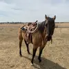 Jacob Kessel - @jcowboy02 - TikTok