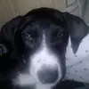yoursenpi26 - @jacobkee401 - TikTok