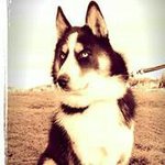Jacob Keefe - @jake_keefe16 - Instagram