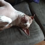 jacob keene - @jakeene123 - Instagram