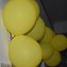 Jacob Kelman - Facebook