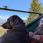Jacob Kenner - Facebook