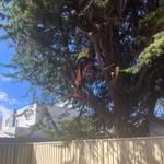 Jacob Kennon - @kennonstreeservices - Instagram