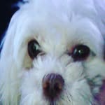 jacob.kerley - @jacob.kerley5 - Instagram
