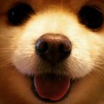 Jacob Key - @jacob.the.key - Instagram