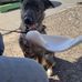 Jacob Keys - Facebook