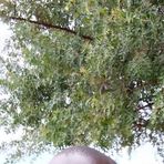 Jacob Kigen - Facebook