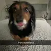 Jacob - @jacobklepacki - TikTok