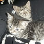 Jacob Kime - @jacob19374050271947 - Instagram