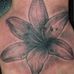 Jacobey Kinley - Facebook