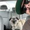 jacobkirksey120 - @jacobkirksey120 - TikTok