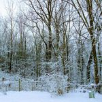 Jacob Kirschenbaum - @jacob_kirschenbaum - Instagram