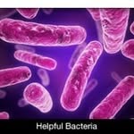 jacob kirschbaum - @bacteria_project2 - Instagram