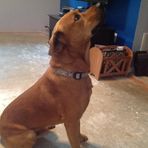 Jacob Kitterman - Facebook