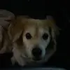 jackklingbeil1 - @jack.klingbeil - TikTok