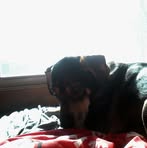 Jacob Klosterman - Facebook