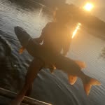 Jacob Knepp - @jacob.knepp - Instagram