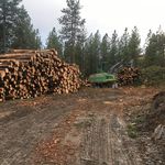 Jacob Knoll - @knoll6972 - Instagram