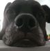Jacob Kocher - Facebook